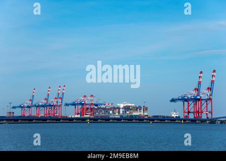 Terminal à conteneurs Jade-Weser-Port, Port en eaux profondes Jade-Weser-Port, terminal GNL, terminal de gaz naturel liquéfié, Voslapper Groden, Wilhelmshaven Banque D'Images