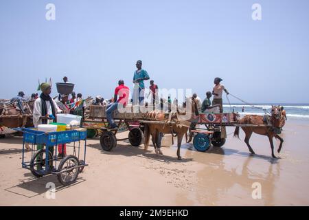 Marché aux poissons sur la plage de Yoff dans la zone côtière de la ville de Dakar, capitale du Sénégal Banque D'Images