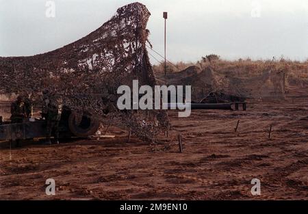 Feu moyen à profil droit de deux chasseurs marins américains M198 155mm, recouverts de filets camouflés, tandis que les Marines de Lima Battery, 3rd Bataillon, 12th Marines de Camp Hansen, Okinawa, Japon, ont installé les Howitzers pour tirer lors de la fusillade de relocalisation de l'artillerie à Ojojihara, Japon. Sujet opération/série: OJOJIHARA base DE TIR DE RELOCALISATION D'ARTILLERIE: Ojojihara base Camp pays: Japon (JPN) Banque D'Images