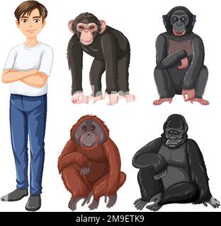 Cinq différents types d'illustrations grand singes Illustration de Vecteur