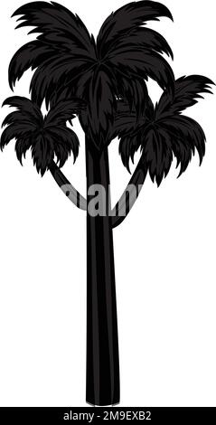 Palmier tropical, silhouettes noires isolées sur fond blanc vectoriel. Illustration de Vecteur