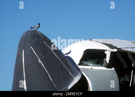 Écologique, les titans des guerres passées telles que ce B-52 fournissent une perchaude stable ou un salut ombragé aux habitants indigènes, dans ce cas un pigeon. Sous la surveillance du département du gibier et des poissons de l'Arizona, la terre est un refuge pour le coyote, le lynx, les faucons, les grands hiboux et les hiboux, les pigeons, les serpents et les lézards. Cette image a été utilisée dans l'article du magazine AIRMAN d'avril 2000 « Phoenix Rising ». Base: Davis-Monthan Air Force base État: Arizona (AZ) pays: Etats-Unis d'Amérique (USA) Banque D'Images