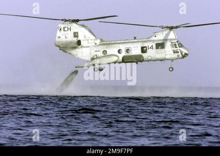 Les Marines des États-Unis, de l'unité expéditionnaire maritime de 26th, détachement de reconnaissance de la Force, ont jeté un raider en caoutchouc de combat du zodiaque (CRRC) à partir d'un hélicoptère CH-46E Sea Knight, 264th Escadron d'hélicoptères marins moyens. Le Détachement de reconnaissance de la Force a pratiqué le coulage et le rétablissement des hélicoptères afin de maintenir des compétences essentielles au cours d'un déploiement. Mer Méditerranée, 9 août 2000. Les Marines des États-Unis, de l'unité expéditionnaire maritime de 26th, détachement de reconnaissance de la Force, ont jeté un raider en caoutchouc de combat du zodiaque (CRRC) à partir d'un hélicoptère CH-46E Sea Knight, 264th Escadron d'hélicoptères marins moyens. Banque D'Images