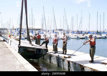 Des soldats DE l'armée AMÉRICAINE (USA) affectés à la compagnie de transport 331st, abaissent une section d'un quai Trident dans l'eau pendant l'exercice TURBO PATRIOT, un exercice conjoint Logistics Over-the-Shore (JLOTS), à Camp Pendleton, Californie (CA). Sujet opération/série: TRUBO PATRIOT base: Base corps de marine Camp Pendleton État: Californie (CA) pays: États-Unis d'Amérique (USA) Banque D'Images