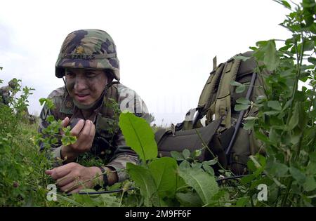 Un membre de l'armée américaine de la Force opérationnelle pour l'Europe du Sud, Vicenza, en Italie, s'entraîne dans la zone de dépôt « Juliet » située à 15 kilomètres de la base aérienne d'Aviano, en Italie. Les troupes DE l’Armée DE TERRE AMÉRICAINE, de l’Armée de l’Air et de l’Armée italienne ont sauté des avions C-130 Hercules (non illustrés) déployés à partir de la base aérienne de Ramstein (37th), en Allemagne, dans le cadre d’une formation de saut mensuelle pour maintenir leurs compétences. Pays: Italie (ITA) Banque D'Images