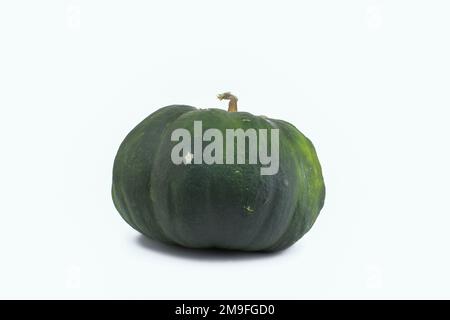 Citrouille verte mûre sur fond blanc. Déchets organiques de fruits trop mûrs. Nourriture horrible, fruits. Copier l'espace Banque D'Images