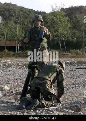 US Marine corps LCPL Smith fait un tour dans le Mortar de 81mm M252 à Susong RI, en Corée. Au cours de l'exercice FOAL EAGLE 2000, Marines de l'unité expéditionnaire maritime (UMM) de 31st a passé deux mois à participer à diverses opérations de formation sur et au large de la côte d'Okinawa, au Japon, à Sasebo, au Japon, à Pohang, Corée et Hong Kong, Chine. Objet opération/série: FOAL EAGLE 2000 base: Susong RI pays: République de Corée (ROK) Banque D'Images