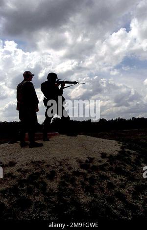 L'AVIATEUR PRINCIPAL DE LA Force aérienne AMÉRICAINE, Shawn Partington (à droite), commandant de combat aérien, tire sur des cibles lors du combat Rifle Competition à la base aérienne de Lackland, au Texas, pour soutenir LE DÉFI défenseur 2000 sur 31 octobre 2000. LE DÉFI DES DÉFENSEURS est le concours annuel de la Force aérienne commandité par les Forces de sécurité de la Force aérienne. Cette compétition met en valeur les talents et les capacités de 13 équipes des forces de sécurité internationales dans sept épreuves physiques, la défense de la base et les compétences policières sur six jours. Objet opération/série: DEFENDER CHALLENGE 2000 base: Lackland Air Force base État: Texas (TX) Banque D'Images