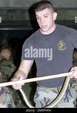 LE Sergent DU corps des Marines DES ÉTATS-UNIS (SGT), Bryan S. Wallgren, instructeur au Jungle Warfare Training Center (JWTC), détient un serpent habu doré et démontre sa nature mortelle au Camp Courtney, Okinawa, Japon. Le JWTC est une zone d'entraînement où les Marines effectuent des compétences de navigation terrestre, des tactiques de patrouille, la reconnaissance de la force sur la force et des compétences de survie dans la jungle. Sujet opération/série: FOAL EAGLE 2000 base: Camp Courtney État: Okinawa pays: Japon (JPN) Banque D'Images