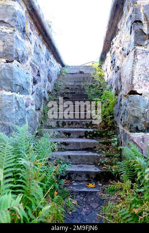 Vieux escalier étroit en pierre entre les murs en pierre avec la fougère à pied, Vallisaari, Biennale d'Helsinki 2021 Banque D'Images