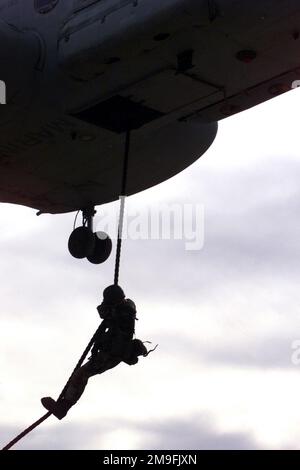 Un hélicopteur CH-46 dépose des Marines de Headquartes and Service Company, 1st Force Reconnrence Battalion, 1st Marine Expeditionary Force, en utilisant la technique de corde rapide, pendant l'assaut sur Red Beach, pour le 50th anniversaire de la campagne du réservoir de Chosin, à bord du Camp Pendleton, Californie. Cette bataille féroce et sanglante a donné lieu à 15 000 facultés alliées (la plupart d'entre elles sont des hommes de LA Division Marine DE 1st). 2 500 ont été tués en action, 5 000 ont été blessés en action et 7 500 ont subi de graves gelures et des blessures par le froid. Les forces ennemies ont soutenu 40 000 morts et des milliers d'autres ont été vers le bas avec des blessures et Banque D'Images