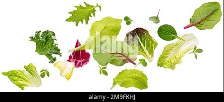 Chute de feuilles de salade isolées sur fond blanc avec passe-cheveux Banque D'Images