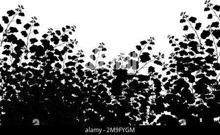 Arbuste de jardin réaliste, buisson saisonnier, buisson de buisson de calotte, feuillage.ensemble de plantes noires ornementales sous forme de haie.pour décorer d'un parc, a Illustration de Vecteur