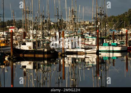 Vue sur les bateaux de la marina reflétée dans l'eau, Astoria Harbour, Oregon, États-Unis Banque D'Images