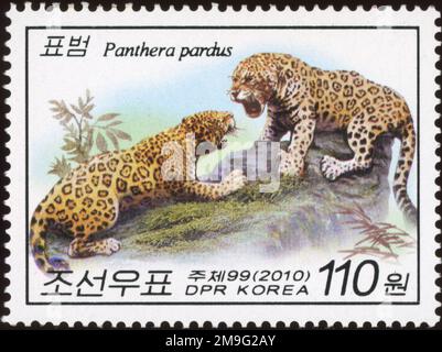 2010 jeu de timbres de la Corée du Nord. Animaux sauvages. Léopard, pardus de Panthera Banque D'Images