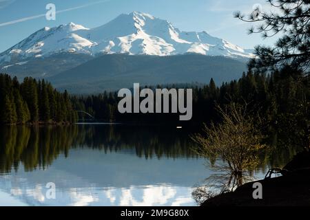 Vue sur le lac et le Mont Shasta, le comté de Siskiyou, California, USA Banque D'Images