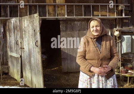 Comté de Salaj, Roumanie, environ 2000. Femme âgée dans son arrière-cour en hiver. Banque D'Images