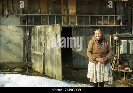 Comté de Salaj, Roumanie, environ 2000. Femme âgée dans son arrière-cour en hiver. Banque D'Images