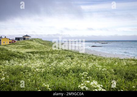 Plage d'Eggum, Vestvågøy, îles Lofoten, Nordland, Norvège Banque D'Images