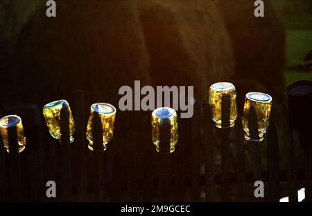 Comté de Salaj, Roumanie, environ 1998. Videz les pots de verre sur une clôture dans la lumière du coucher du soleil. Banque D'Images