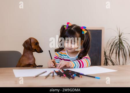 adorable petite fille tire avec son ami chien dachshund. Enfants et animaux. Chiens acceptés Banque D'Images