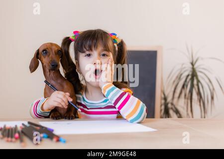 adorable petite fille tire avec son ami chien dachshund. Enfants et animaux. Chiens acceptés Banque D'Images