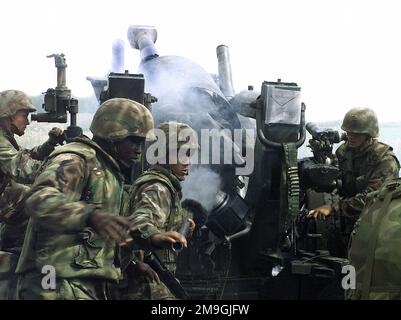 Le Sergent D'ÉTAT-MAJOR (SSGT) William Diaz (à droite), CHEF de canon, instruit ses Marines sur les procédures appropriées du Howitzer moyen de M198 155mm. SSGT Diaz est affecté à Alpha Battery, 3rd Bataillon, 12th Marine Regiment (3/12), et fait partie des 390 Marines de l'Okinawa 3/12 qui sont déployés au Camp Fuji pour mener des exercices d'artillerie à feu direct dans la zone de manœuvre de l'est du Fuji. Base: Camp Foster État: Okinawa pays: Japon (JPN) Banque D'Images