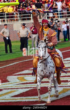 Tallahassee, Floride - 27 octobre 2012: Mascotte de l'Université d'État de Floride, chef Osceola sur Renegade Banque D'Images