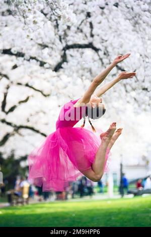 Acrobat en robe rose sautant sous la fleur de cerisier dans le parc, Université de Washington, Seattle, État de Washington, États-Unis Banque D'Images