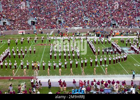 Tallahassee, Floride - 16 novembre 2013: Le groupe de Chief de l'Université d'État de Floride prend le terrain pendant la mi-temps à un match de football à domicile Banque D'Images