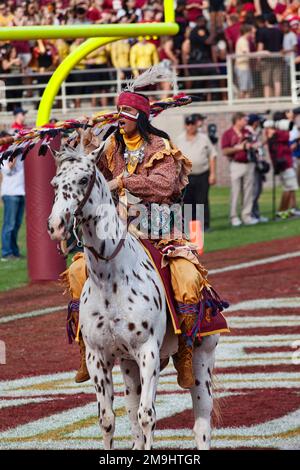 Tallahassee, Floride - 27 octobre 2012 : mascotte de l'Université d'État de Floride, chef Osceola, à cheval sur une Appaloosa. Banque D'Images