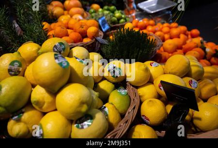 Neubiberg, Allemagne. 18th janvier 2023. Des citrons et des mandarines sont exposés dans un supermarché. Credit: Sven Hoppe/dpa/Alay Live News Banque D'Images