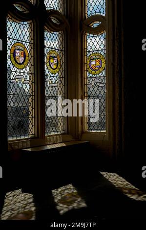 Des earls écossais, dont l'un a été tué avec son roi à la bataille des Anglais de Flodden en 1513, se souvenaient dans des vitraux héraldiques modernes dans les fenêtres orientales au plomb du Grand Hall du château de Stirling, dans le centre de l'Écosse, au Royaume-Uni. Le Hall, qui abritait autrefois le Parlement écossais, a été construit vers 1503 et a été entièrement restauré en 1999 après une longue utilisation comme caserne de l'armée. Banque D'Images