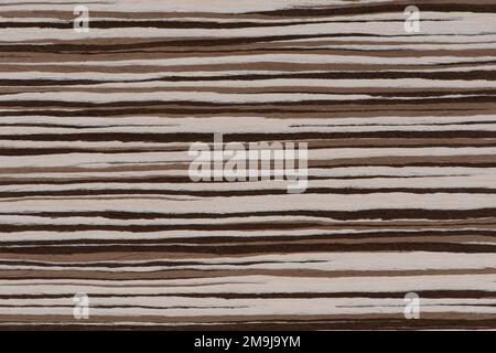 Texture de bois naturel avec bandes horizontales noires et blanches. Gros plan sur la texture en bois zébré. Fond en bois de haute qualité Banque D'Images