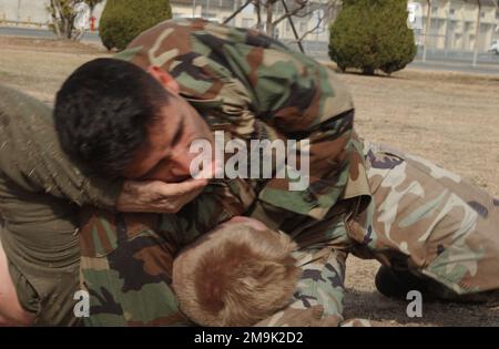 030201-M-9578B-008. Base : Marine corps Air Station, Iwakuni pays : Japon (JPN) scène Major Command illustrée : H & HS Banque D'Images