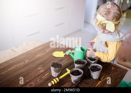 Pots de tourbe, un petit arrosoir vert, un râteau et une pelle sur une table en bois vintage. Culture de semis par un petit agriculteur Banque D'Images