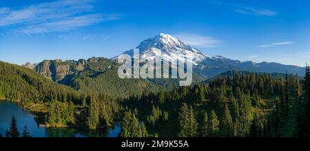 Mt. Rainier et forêt verte, Mt. Parc national de Rainier, État de Washington, États-Unis Banque D'Images