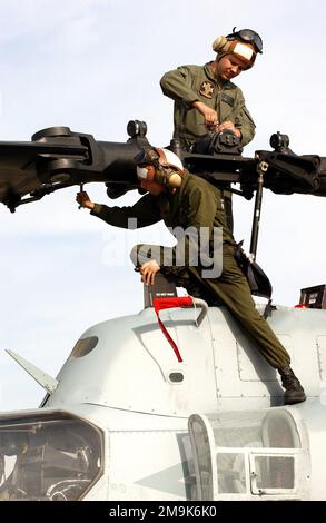 US Marines (USMC) le caporal de lance (LCPL) Julian Mento et le LCPL de l'USMC Pat Watson, affectés à l'escadron d'hélicoptères d'attaque de lumière marine 169 (HMLA-169), au camp de base des corps maritimes Pendleton, en Californie (CA), sont des chefs d'équipage pour les hélicoptères Cobra AH1 W de l'USMC sur la ligne aérienne à la base de la Réserve aérienne de mars (ARB), en Californie (CA). Ils drainent le liquide hydraulique et retirent une partie de l'ensemble de lames de l'hélicoptère avant le chargement. Les hélicoptères sont en préparation pour le transport aérien vers un endroit non divulgué. Base: Mars Air Reserve base État: Californie (CA) pays: États-Unis d'Amérique (USA) Banque D'Images