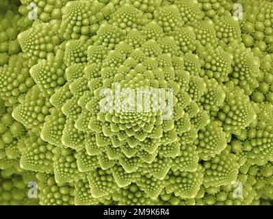 vue de dessus d'un brocoli romanesco vert frais, des fleurons abstraits d'un chou-fleur romain Banque D'Images