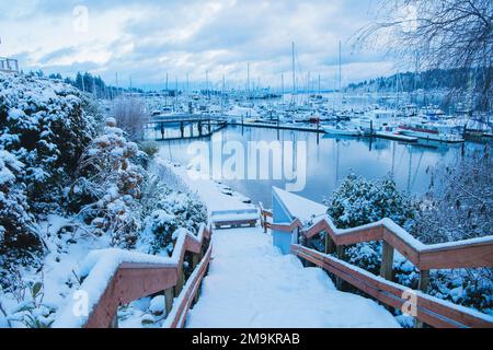 Voiliers à Eagle Harbour en hiver, Bainbridge Island, Washington, Etats-Unis Banque D'Images