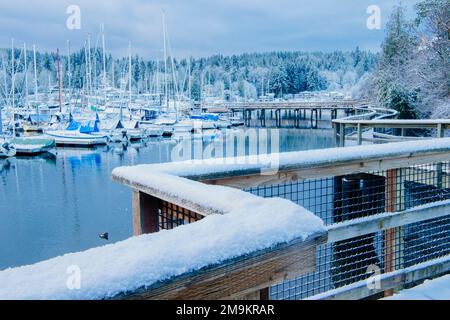 Voiliers à Eagle Harbour en hiver, Bainbridge Island, Washington, Etats-Unis Banque D'Images