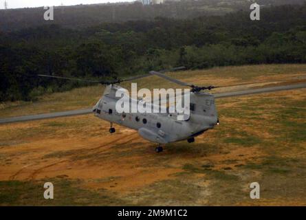 Un hélicoptère Sea Knight CH-46 du corps des Marines des États-Unis (USMC) affecté à l'escadron d'hélicoptères de taille moyenne deux six cinq (HMM-265) terres au cours d'un exercice simulé d'insertion de troupes, au Camp Butler, Okinawa, Japon. (Image sous-standard). État: Okinawa pays: Japon (JPN) Banque D'Images