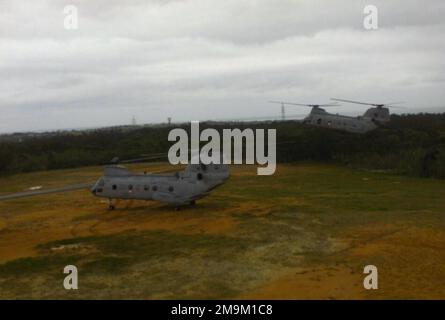 Le CH-46 Sea Knight Helicopter du corps marin américain (USMC) de Twp est affecté à l'escadron d'hélicoptère marin de taille moyenne deux six cinq (HMM-265) terres au cours d'un exercice simulé d'insertion de troupes, au Camp Butler, Okinawa, Japon. (Image sous-standard). État: Okinawa pays: Japon (JPN) Banque D'Images