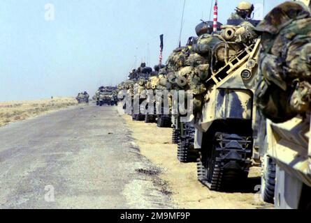 Le personnel des véhicules amphibies (AAVP7A1), le personnel du corps des Marines des États-Unis (USMC) de la compagnie du siège, équipe de combat régimentaire 1, se rassemble dans une zone de dispersion avant de traverser en convoi en Irak pour soutenir l'opération ENDURING FREEDOM. Objet opération/série: LIBERTÉ DURABLE pays: Koweït (KWT) Banque D'Images