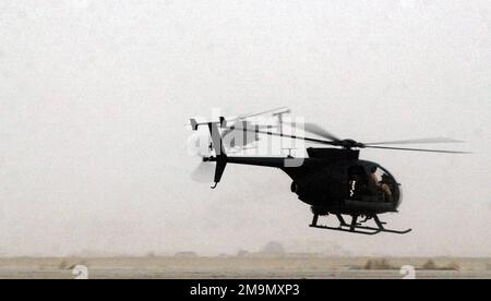 Deux hélicoptères AH-6J Little Bird de l'armée américaine (États-Unis) prennent le décollage pour une mission dans un lieu de déploiement avancé dans le sud de l'Irak pendant l'opération LIBERTÉ EN IRAK. Objet opération/série: LIBERTÉ IRAQUIENNE pays: Irak (IRQ) Banque D'Images