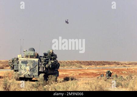 Un hélicoptère AH-1W Super Cobra du corps des Marines des États-Unis (USMC) assure la couverture aérienne des troupes et d'un personnel de véhicule amphibien d'assaut de l'USMC (AAVP7A1), de la Charlie Company, 1st Bataillon, 5th Marines, 1st Marine Division hors du Camp Pendleton, Californie, lors d'un incendie à l'appui de l'opération LIBERTÉ IRAQUIENNE. Objet opération/série: LIBERTÉ IRAQUIENNE pays: Irak (IRQ) Banque D'Images