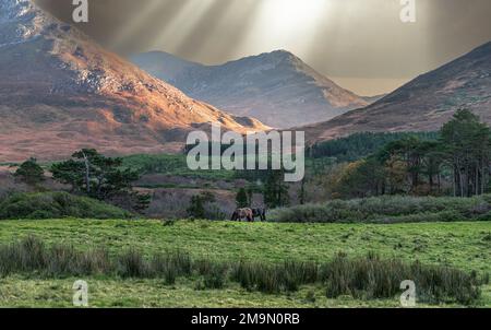 Belles montagnes du Connemara, comté de Galway, Irlande Banque D'Images