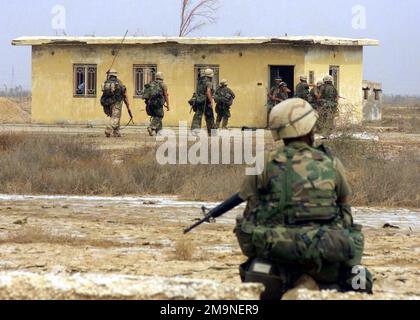Les Marines de la compagnie Echo, Battalion Landing Team (BLT), 2nd Bataillon, 2nd Marines, 24th Marine Expeditionary Unit (Special Operations Aable) (MEU SOC) ont sécurisé un bâtiment dans un aérodrome autrefois détenu par la Division iraquienne 10th Armored à Al Amarah, en Irak. Les Marines sont armées de fusils M16A2 de 5,56 mm. Objet opération/série: LIBERTÉ IRAQUIENNE base: Al Amarah pays: Irak (IRQ) Banque D'Images