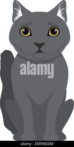 Chat gris assis. Animal de compagnie britannique de race shorthair Illustration de Vecteur