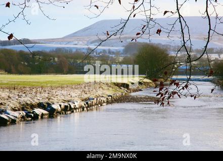 Une vue sur Pendle Hill depuis les rives du Ribble à Sawley, Clitheroe, Lancashire, Royaume-Uni, Europe Banque D'Images